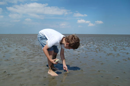 Familien Urlaub auf Pellworm Familien Urlaub auf Pellworm